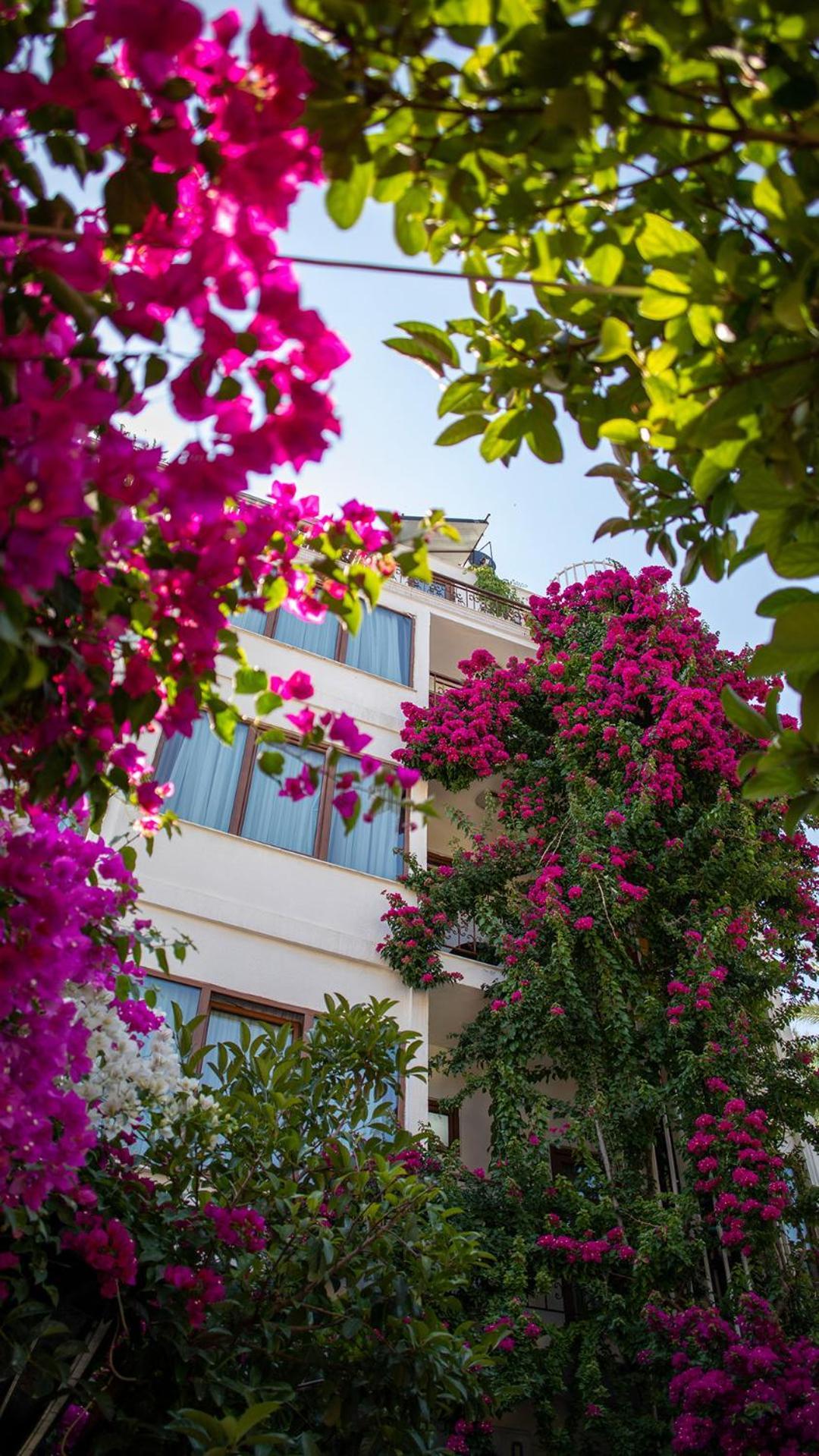 Patron Hotel Antalya Exteriör bild
